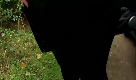 Ông làm tôi ngạc nhiên lúc đầu, hắn là một đài phun nước, phim jav hd moi nhat phun!