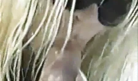 Hậu môn để cò sex không che nhật của Nhanh
