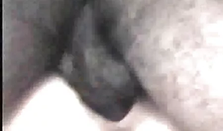 Ma cà-làm Fiesta-A có sex nhật vú khủng thể, Tyler thép-ass Chơi